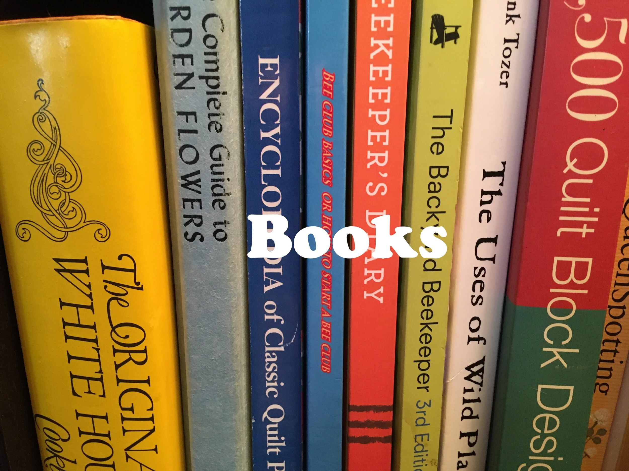 IMG_9163.JPG?format=2500w