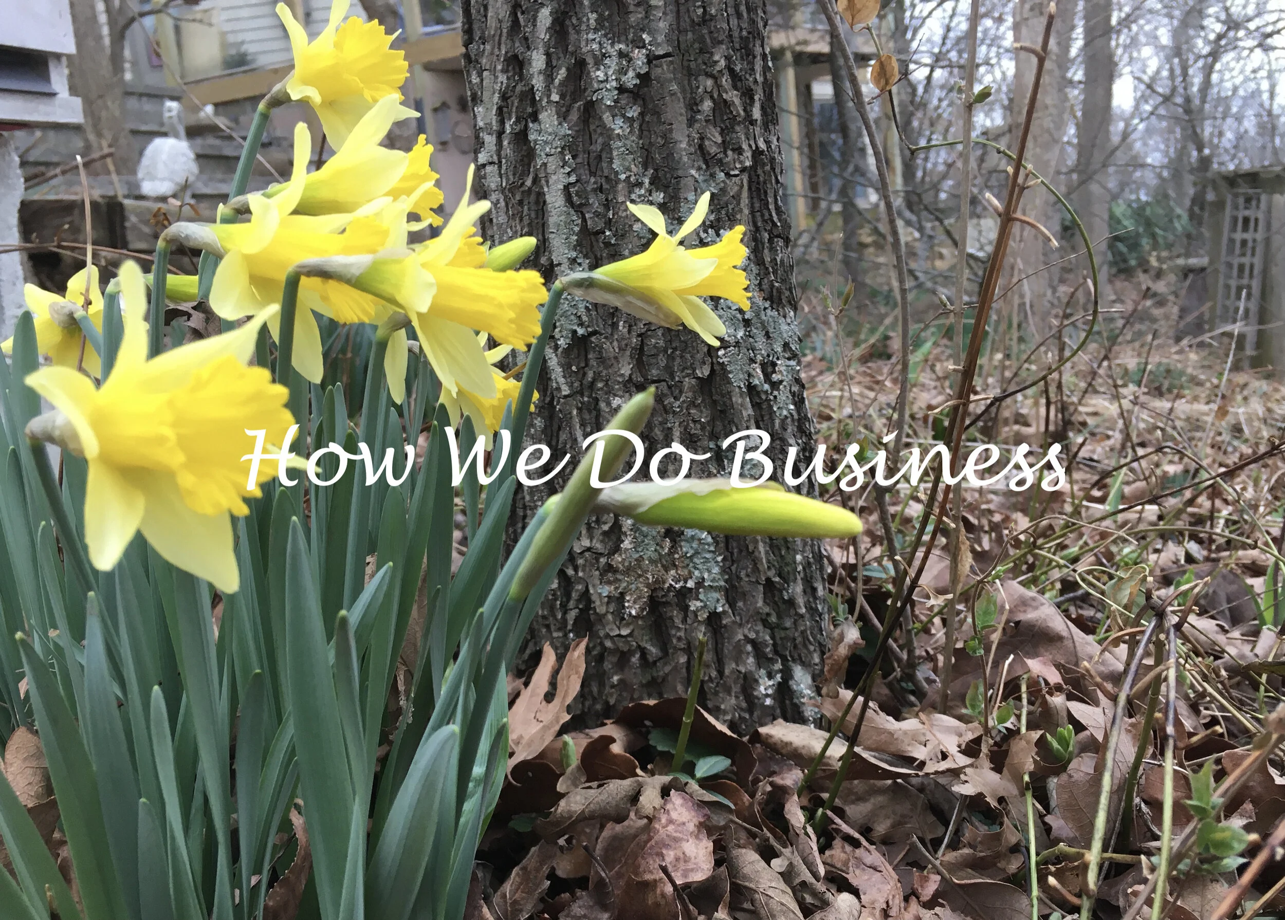 BG LH 50 how we do business.JPG