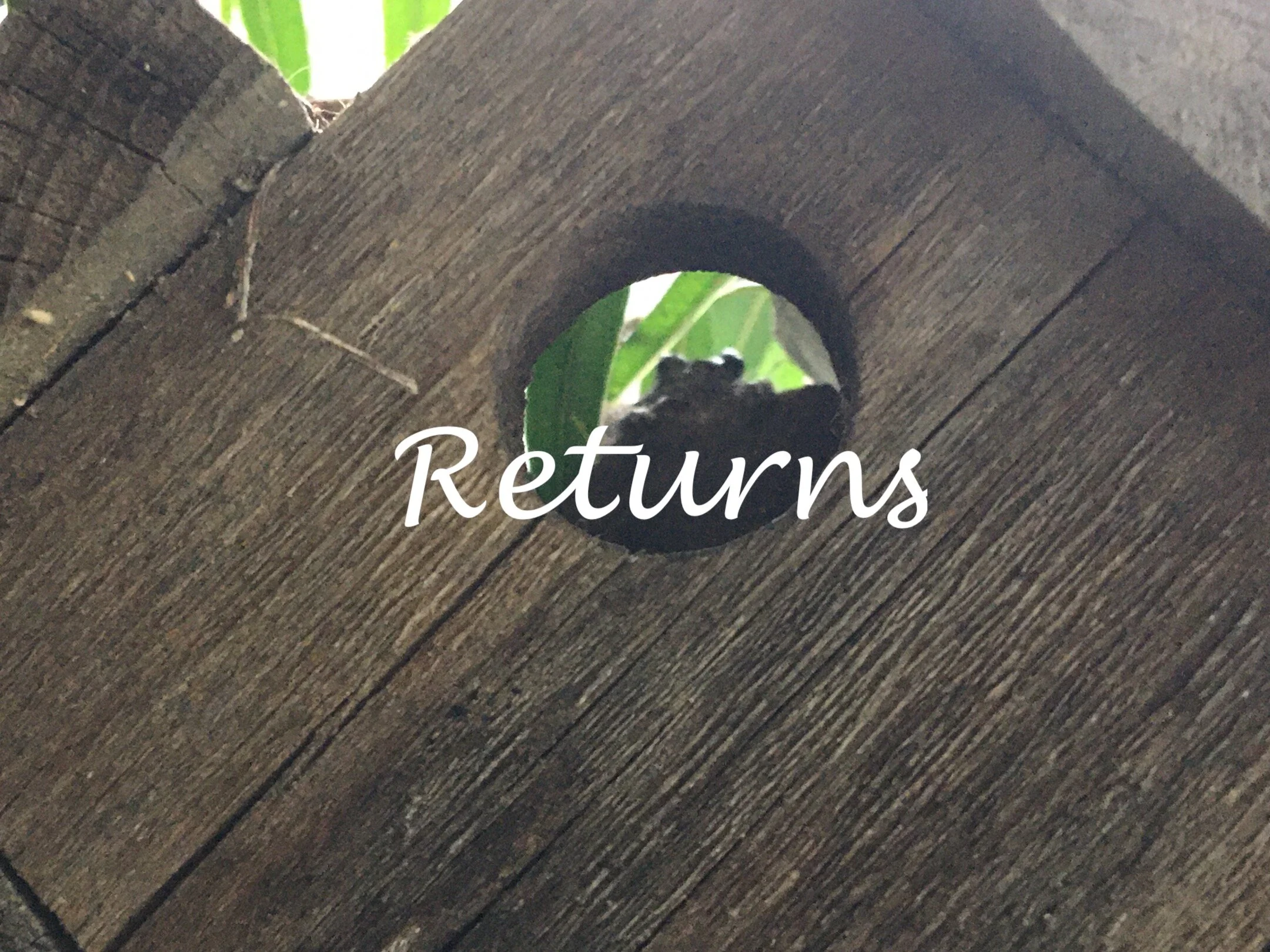 BG LH 50 returns.JPG