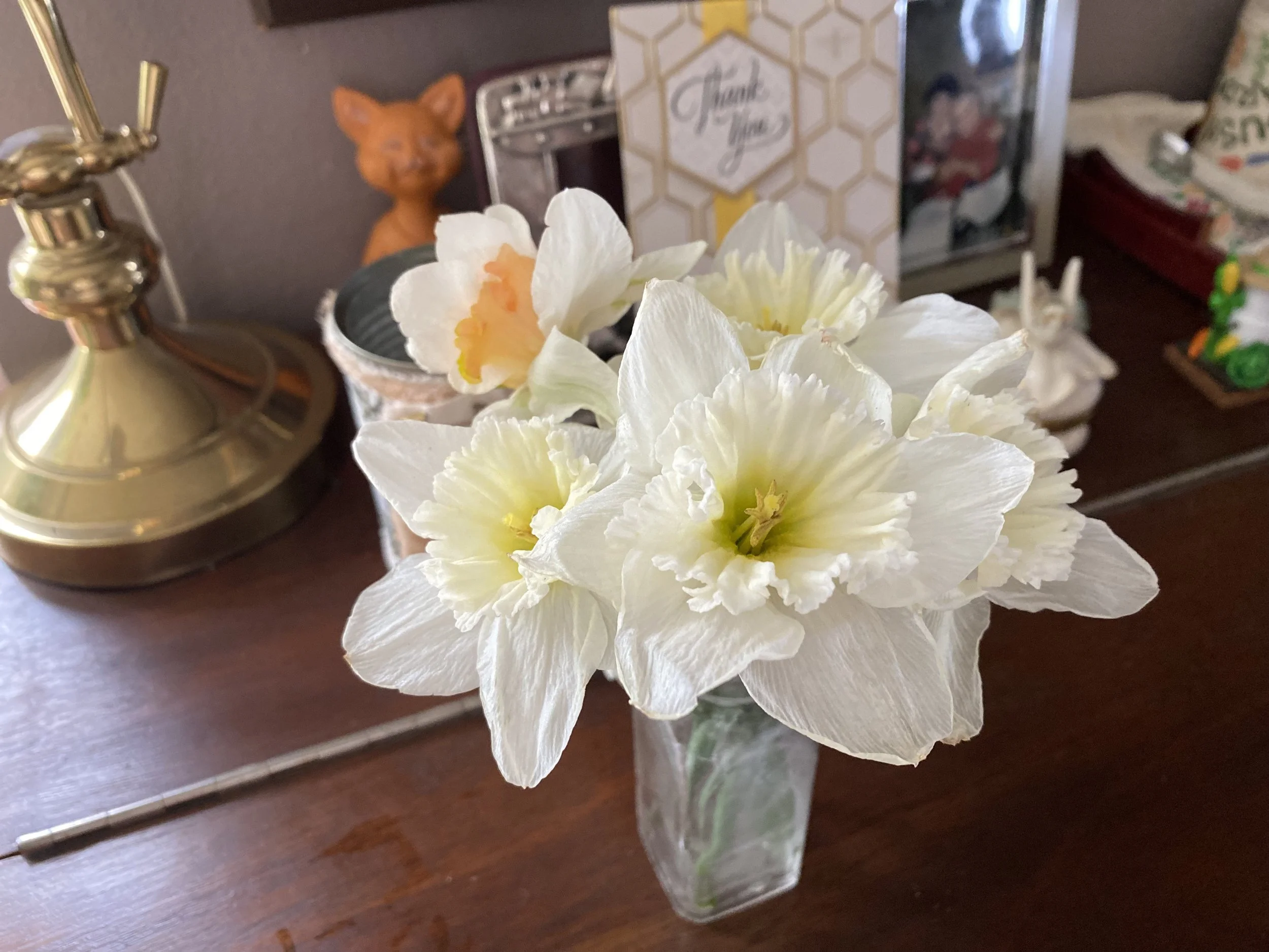 IMG_3550.jpeg