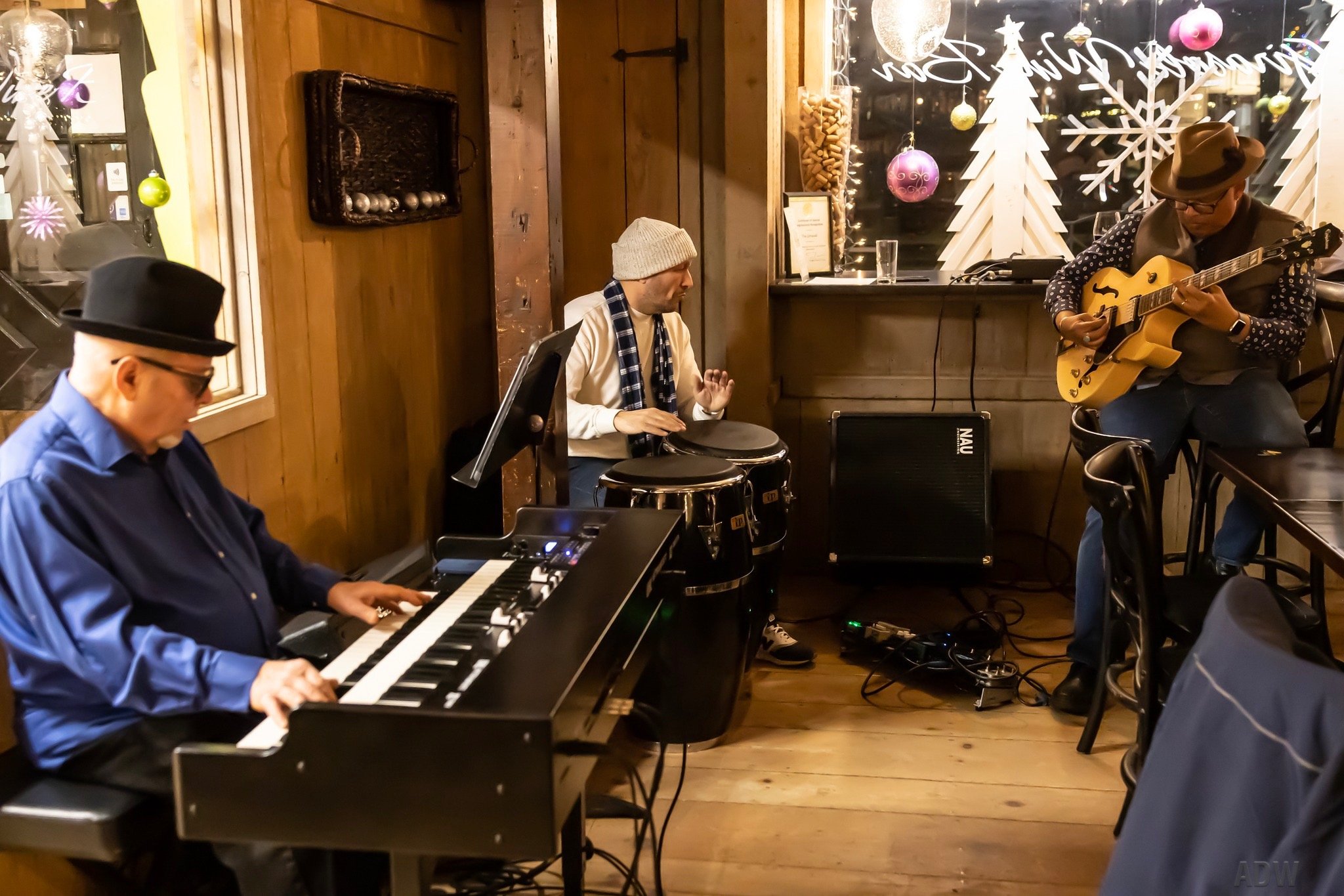 Trio with Gerry Youngman, organ and Lucas Santana, percussion 