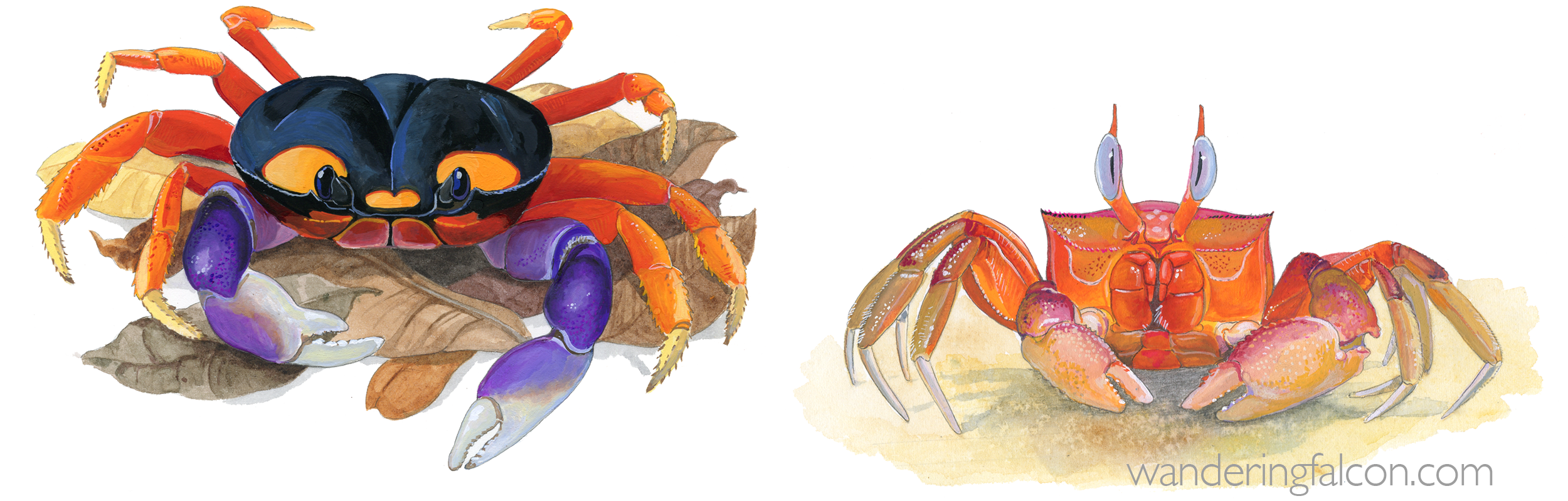 crabs.png