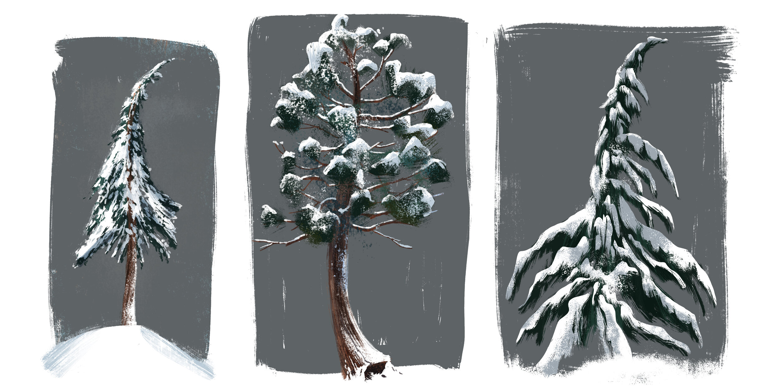 Snowy trees