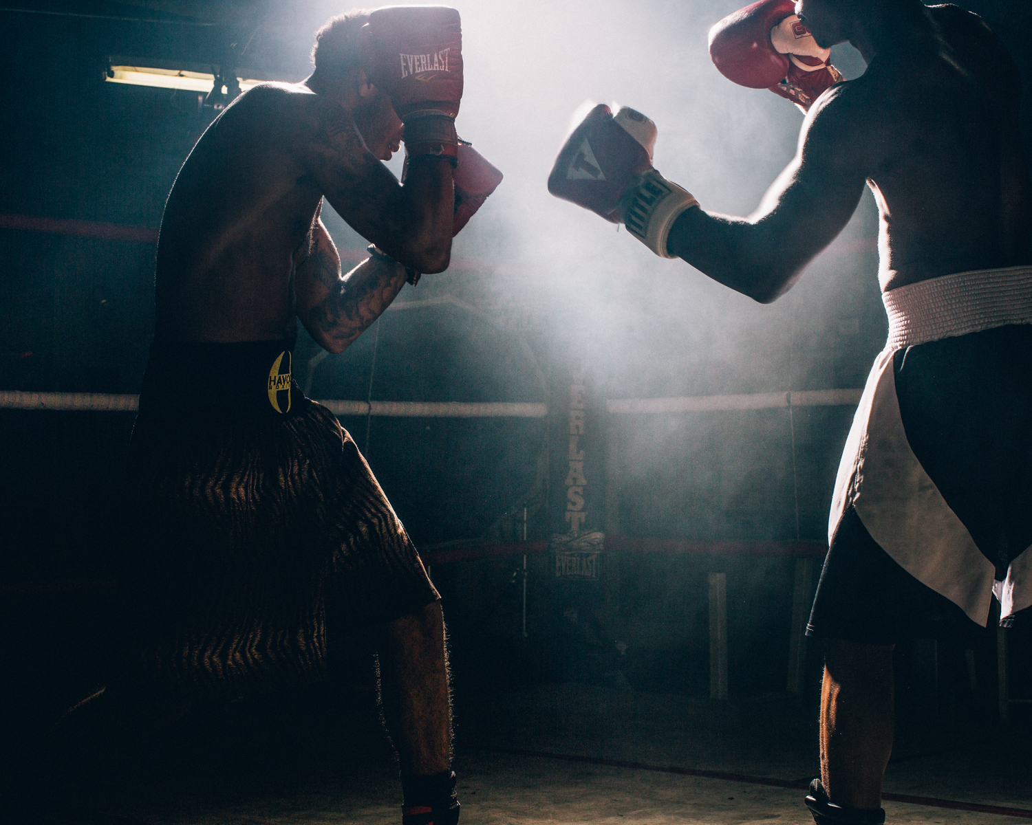 131120_BOXERS0771.jpg