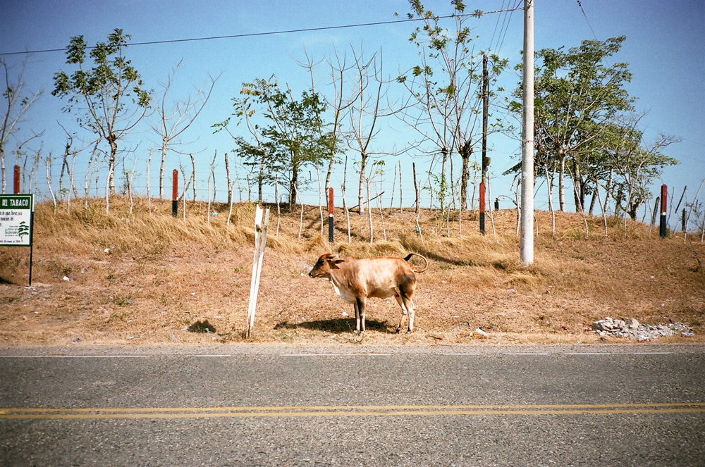 colombia-3.jpg