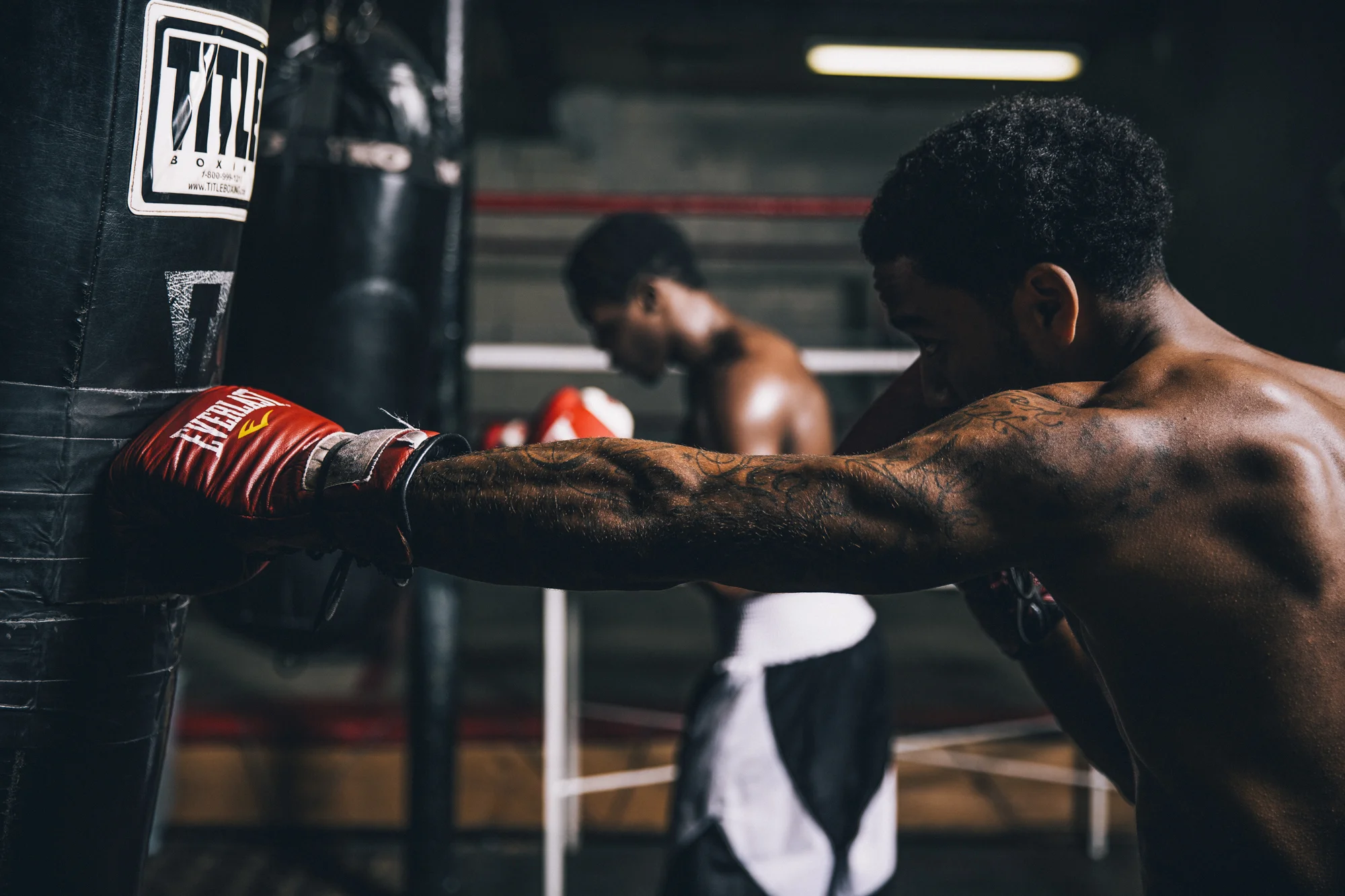 131120_BOXERS0609.jpg