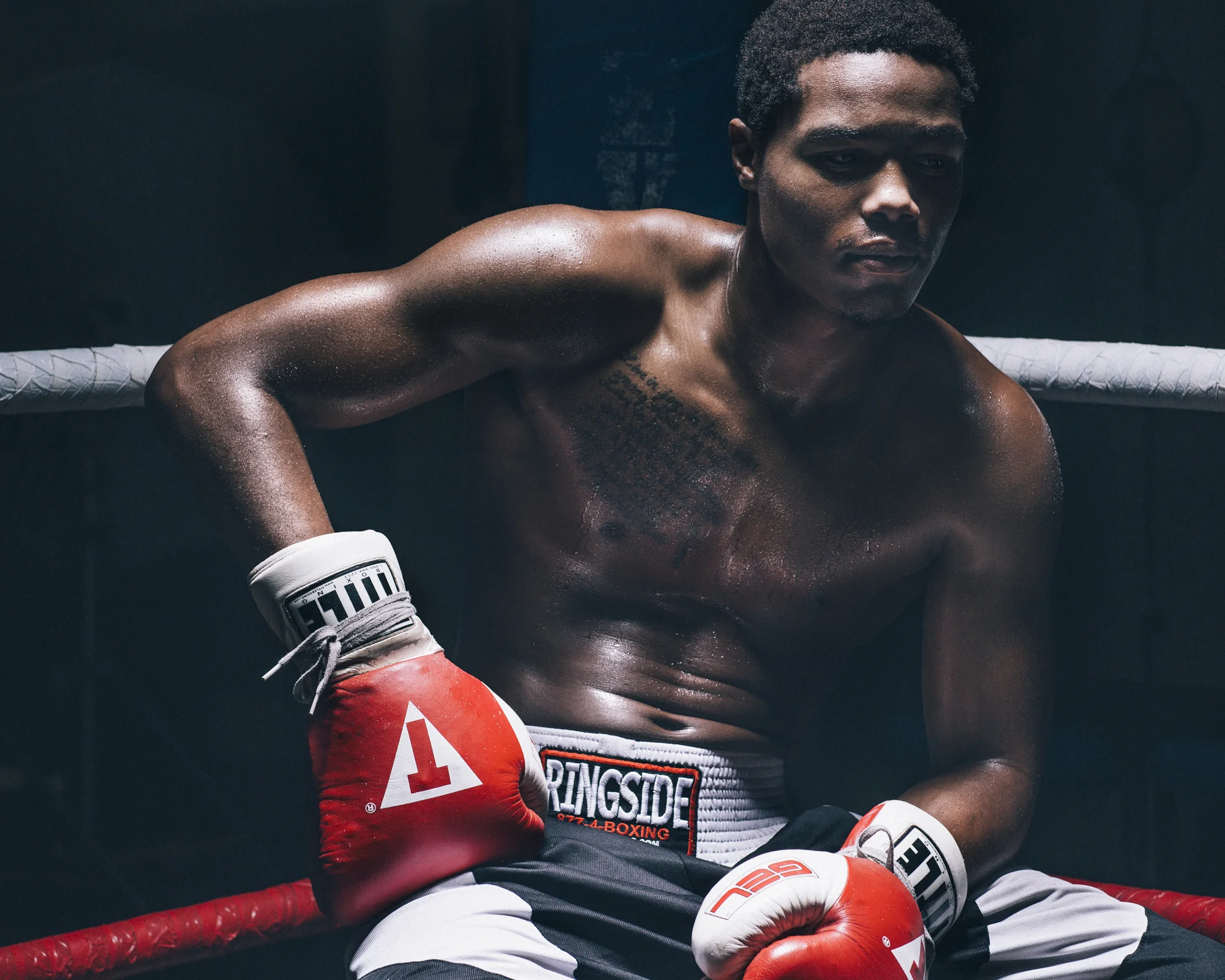 131120_BOXERS0559.jpg