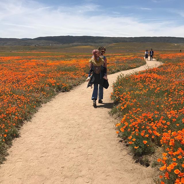 The poppies were incredible, the people were generally the worst.