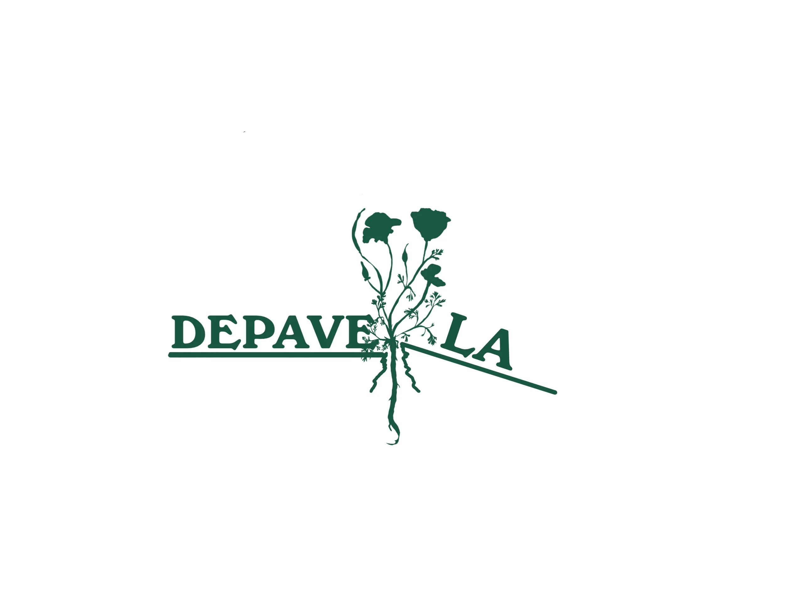 depave la.jpeg