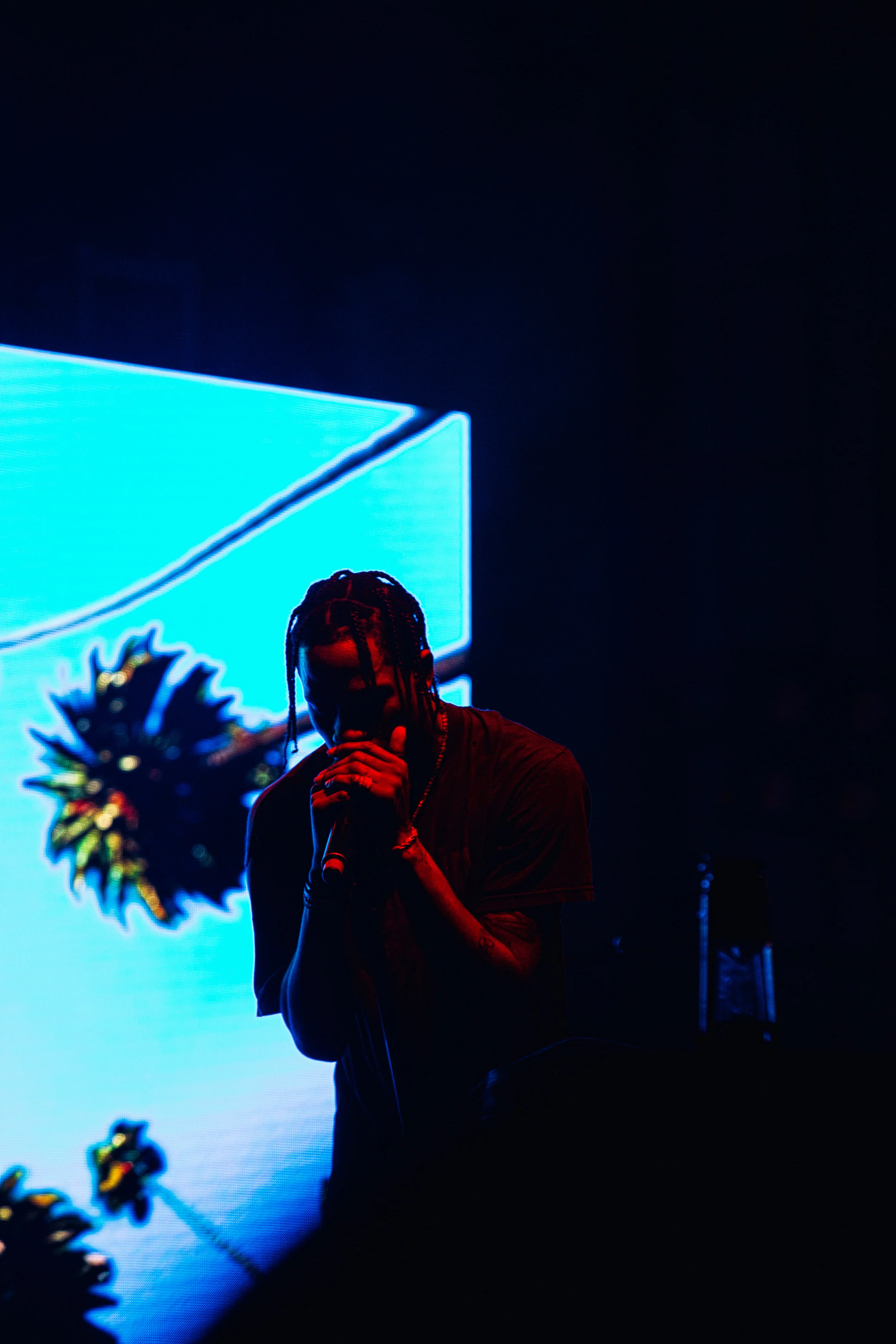 TRAVIS SCOTT-2628 final.jpg