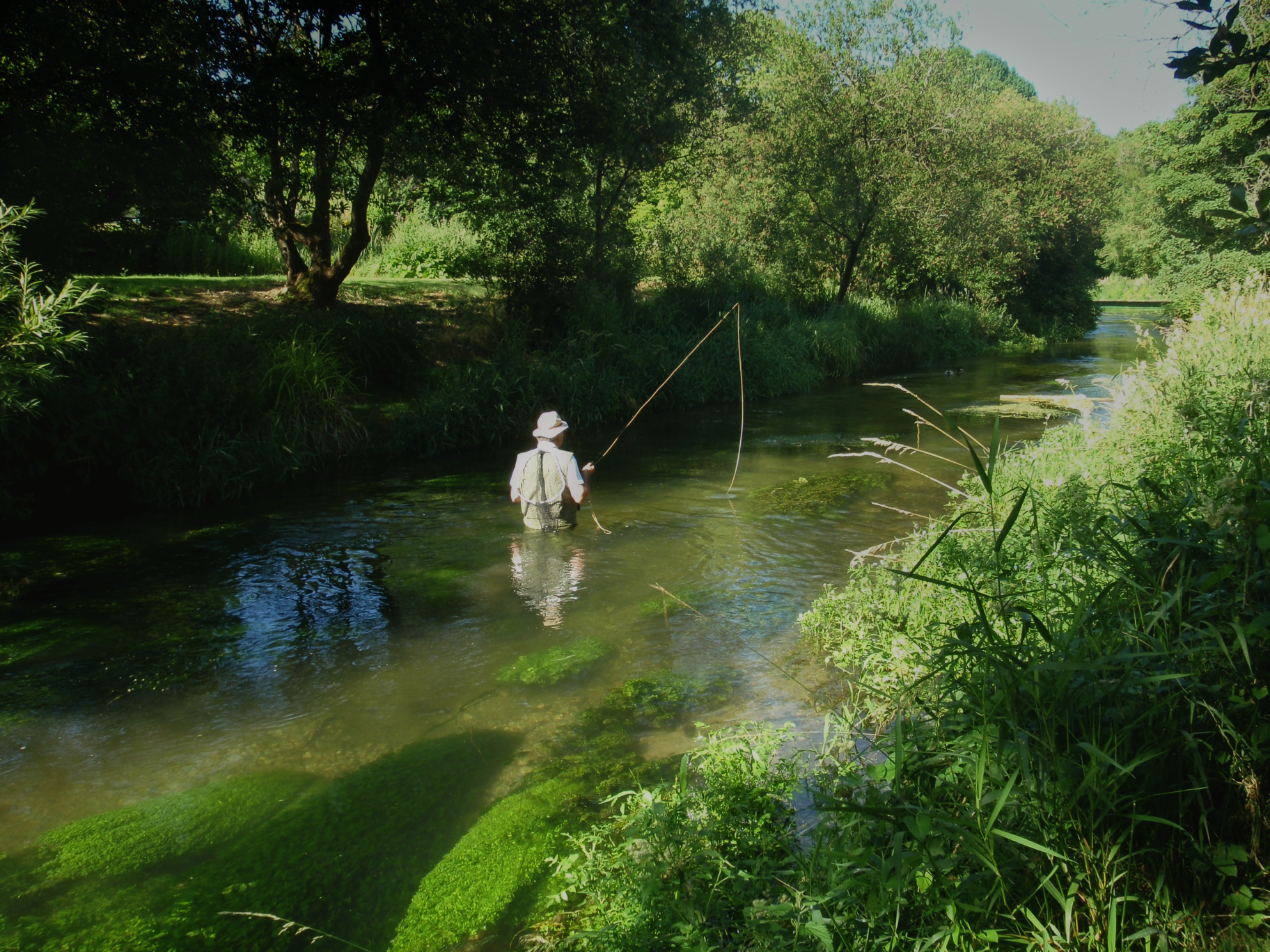 Fishing.png