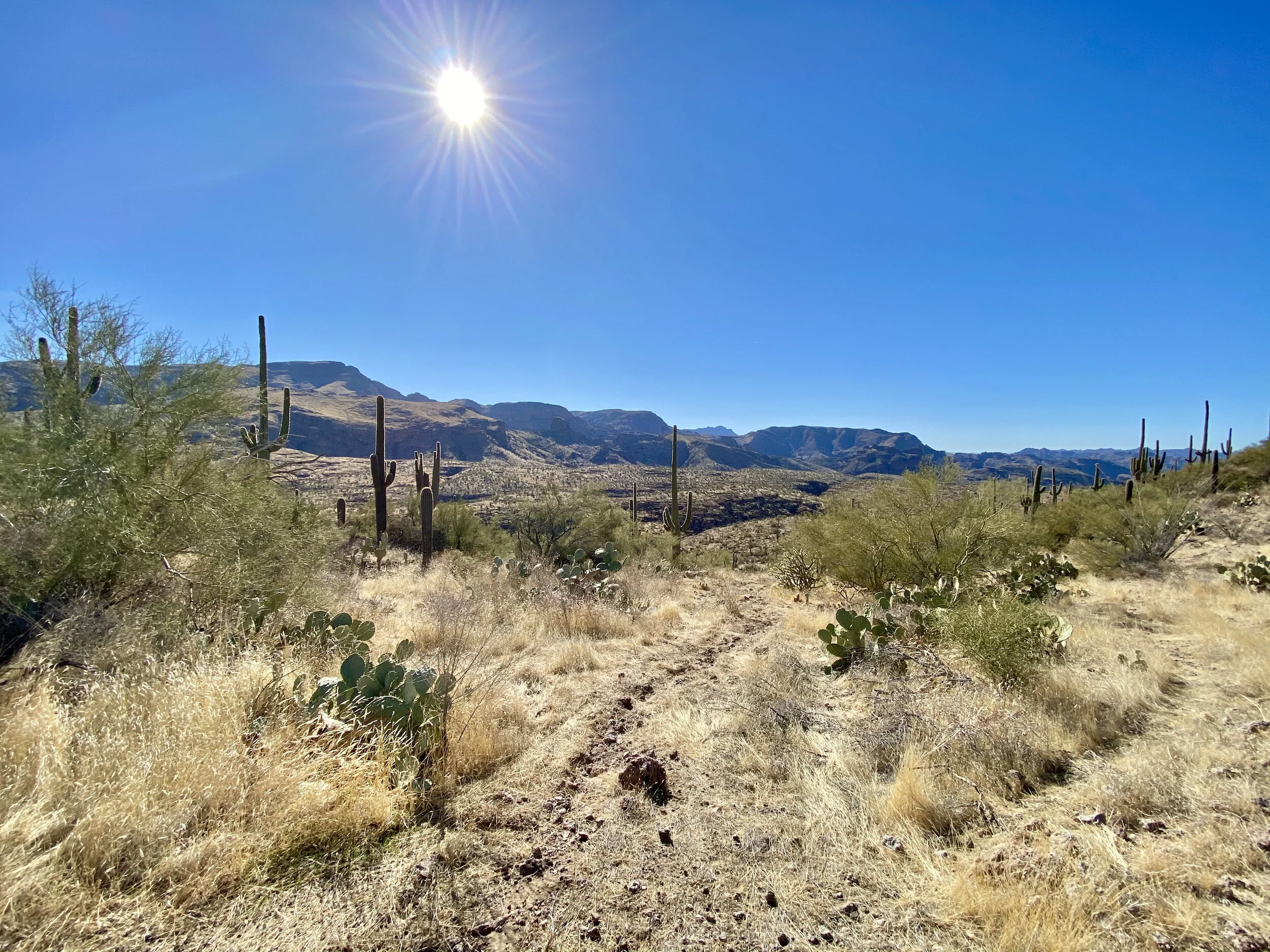 Evan Larkin Hero Image 8.jpeg