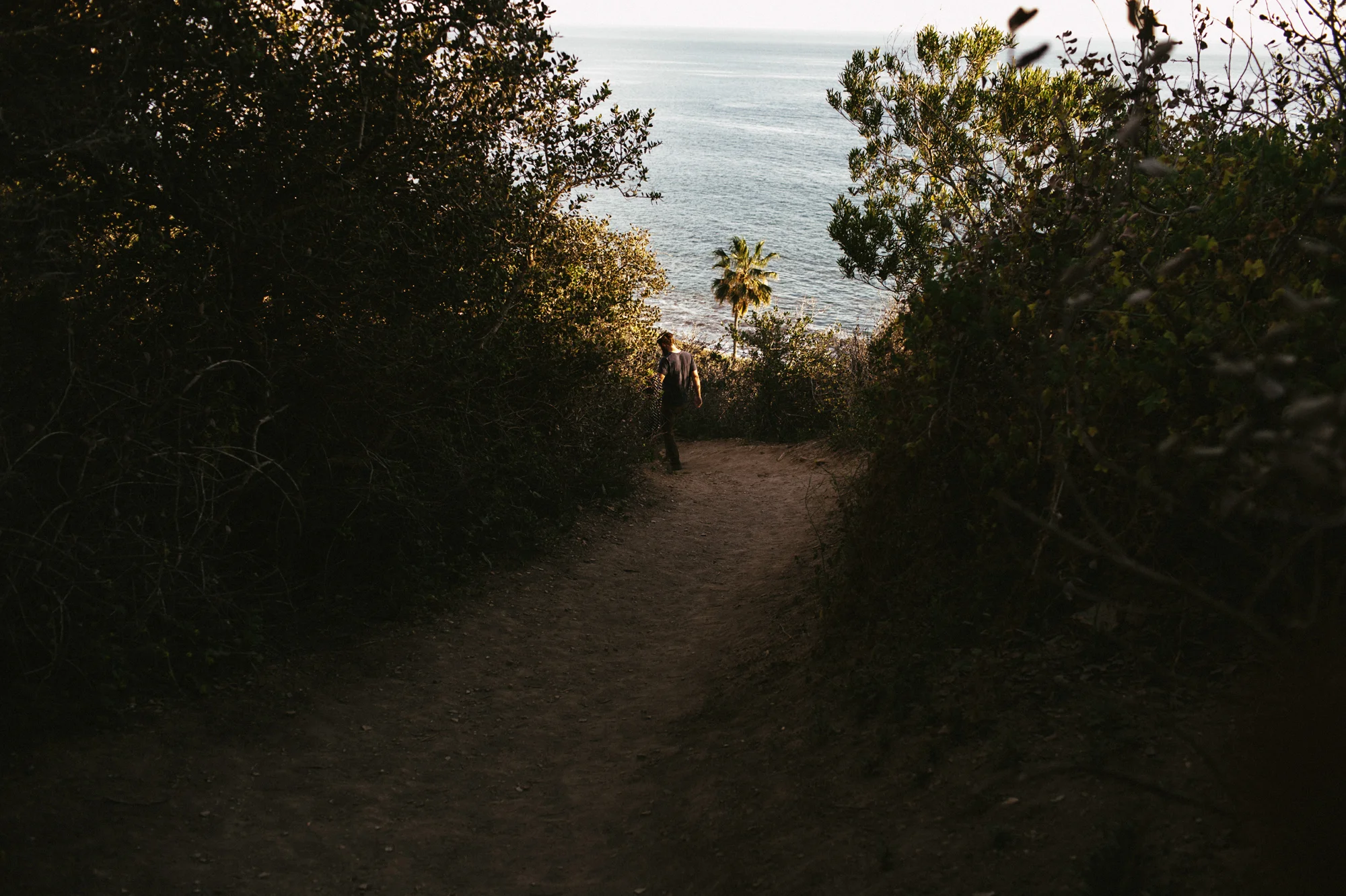 Engagement Photography