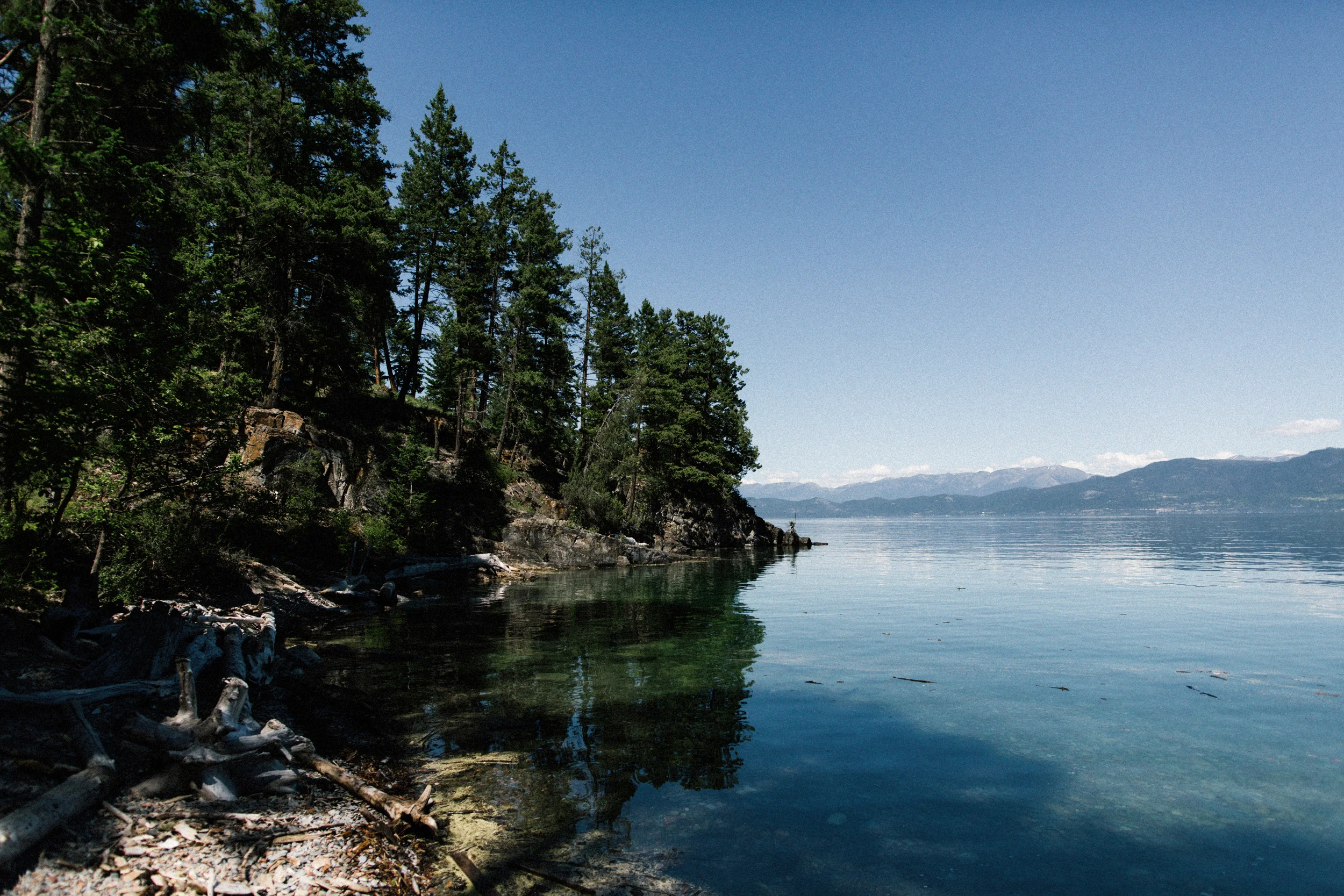 Kalispell Montana Wedding