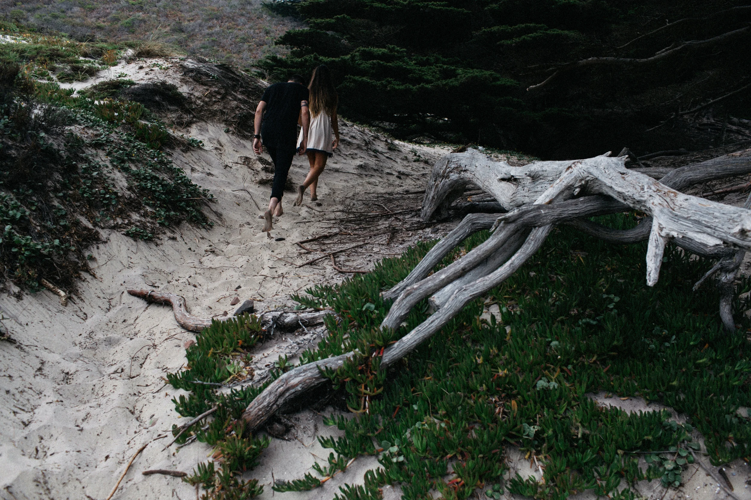 big sur adventure
