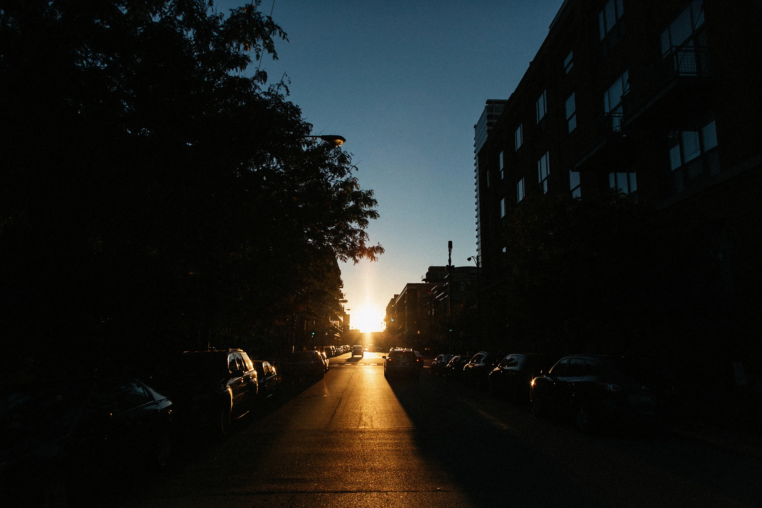chicago wedding photographer