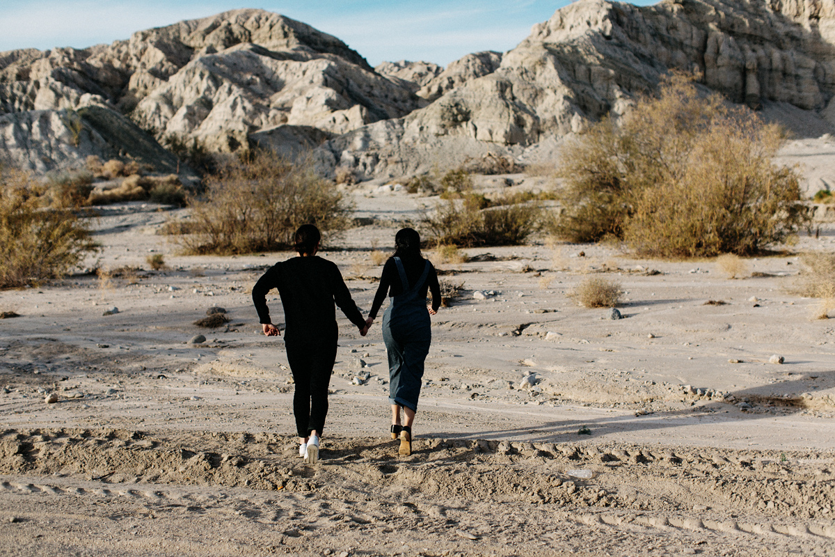 joshua tree