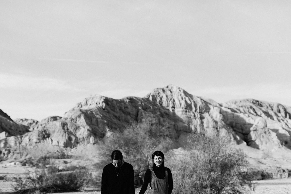 joshua tree