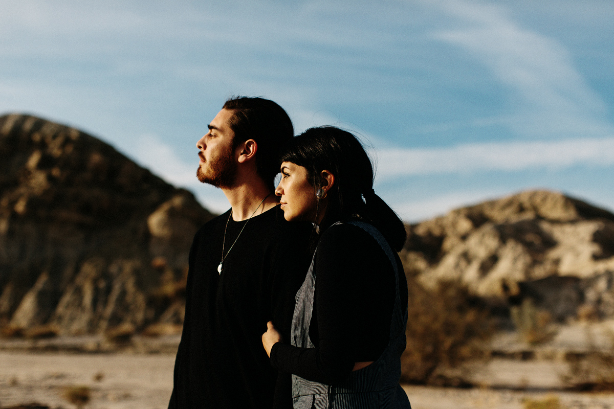 joshua tree