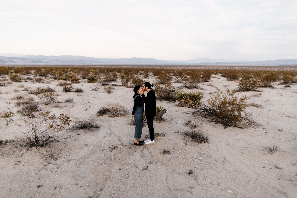 joshua tree