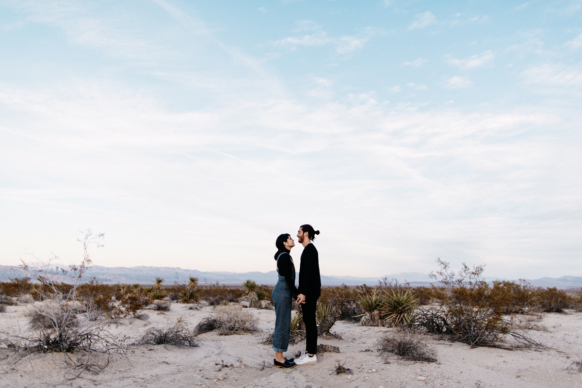 joshua tree photographer