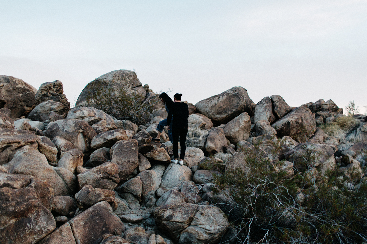 joshua tree photographer