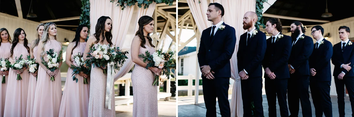 agritopia wedding photographer