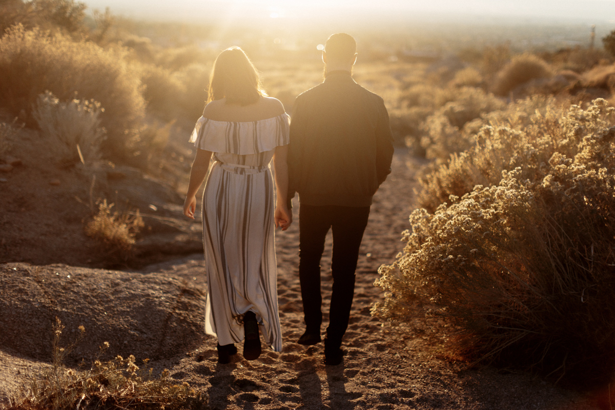 desert engagement