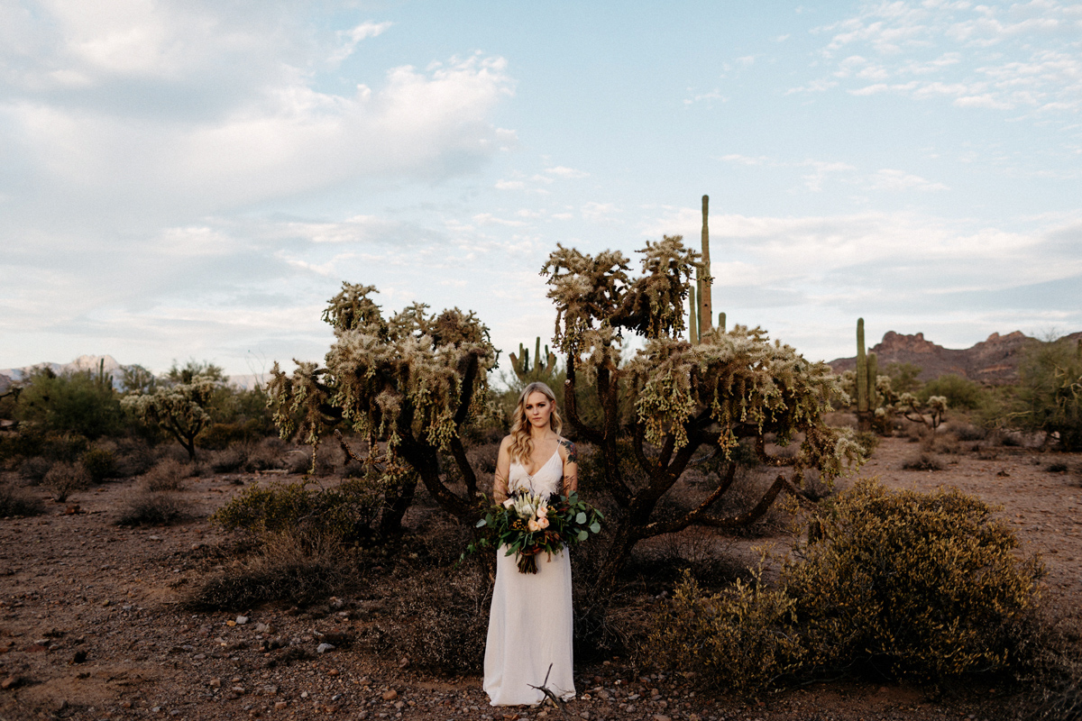 arizona photographer