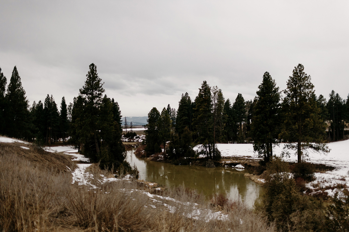montana, montana wedding, destination wedding, wedding photograp