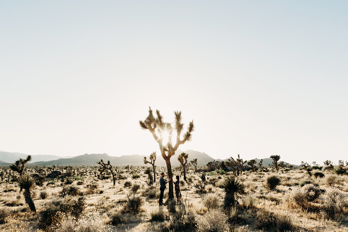 joshua tree, engagement photographer, california, joshua tree ph