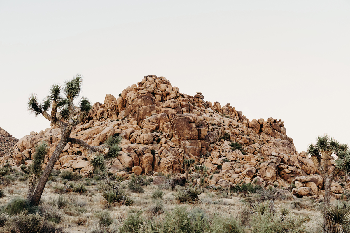 joshua tree, engagement photographer, california, joshua tree ph