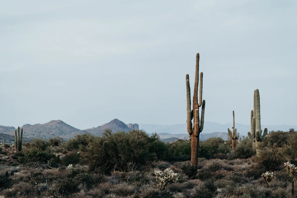 arizona elopement, superstition mountains, elope, destination we