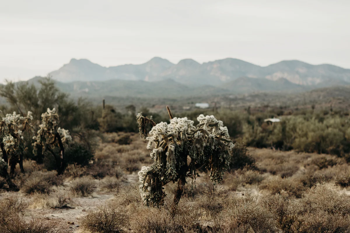 arizona elopement, superstition mountains, elope, destination we