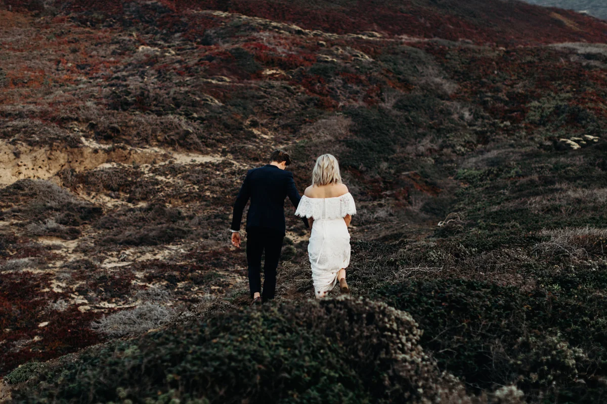 big sur. big sur elopement, intimate wedding, cliff side, califo