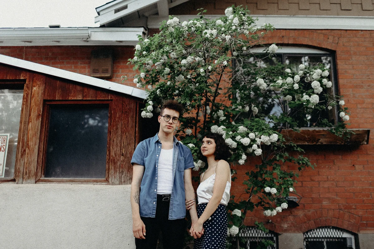 summer, albuquerque, new mexico, new mexico photographer, flower