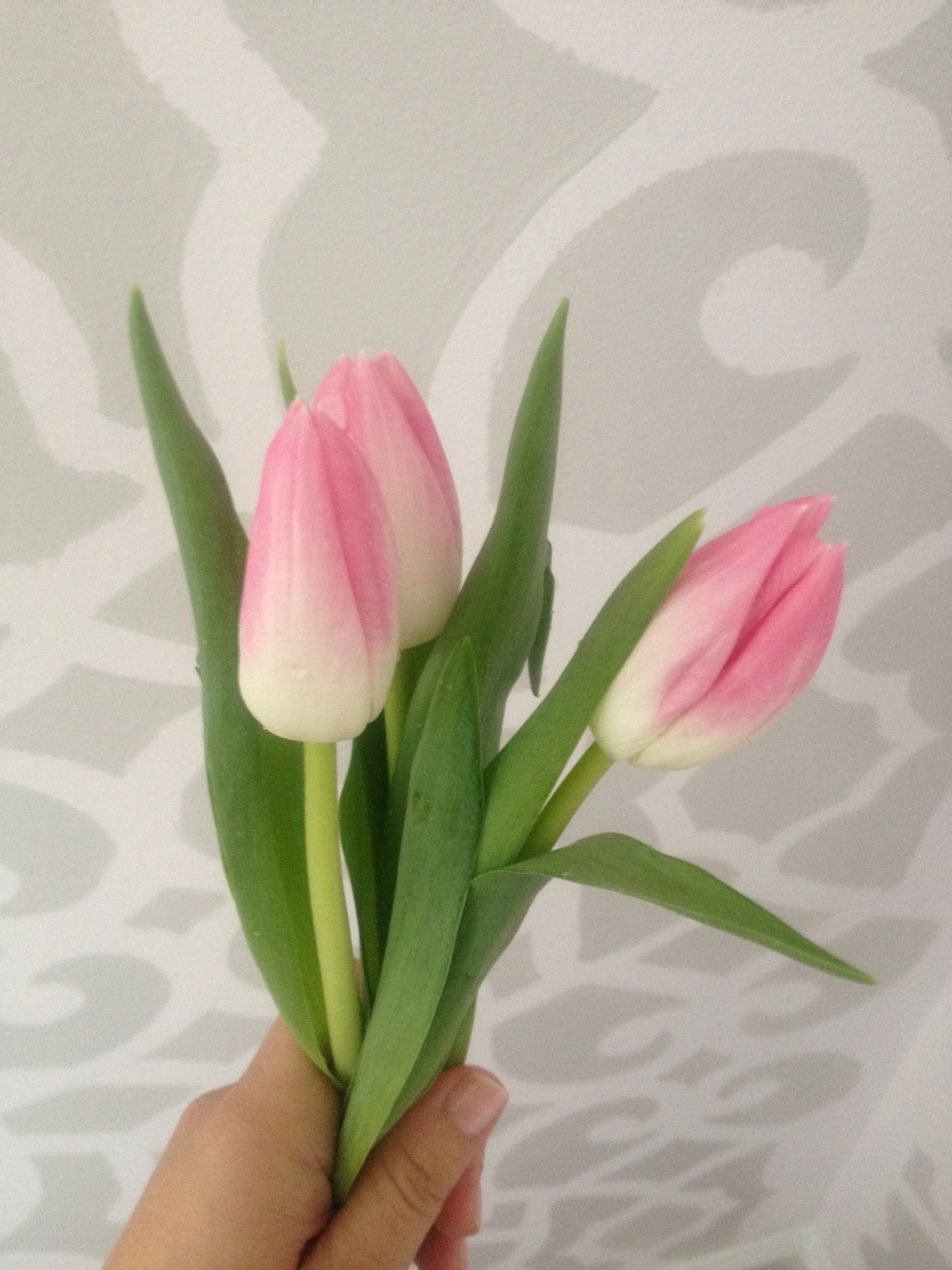 tulips in office progress blog.jpeg