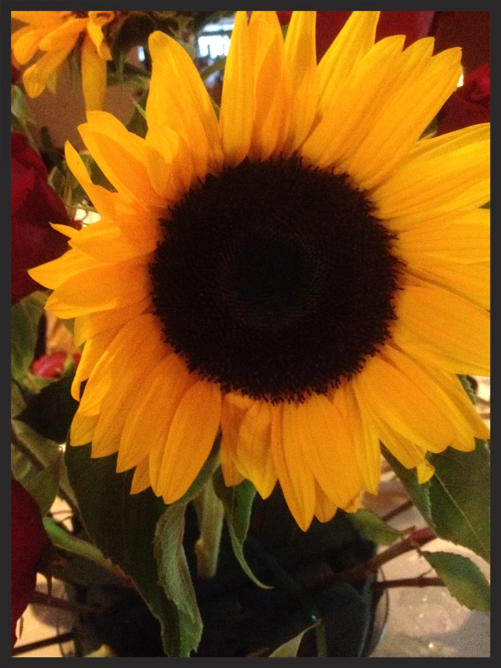 Featured image of post View 22 Aesthetic Sunflowers And Roses Background