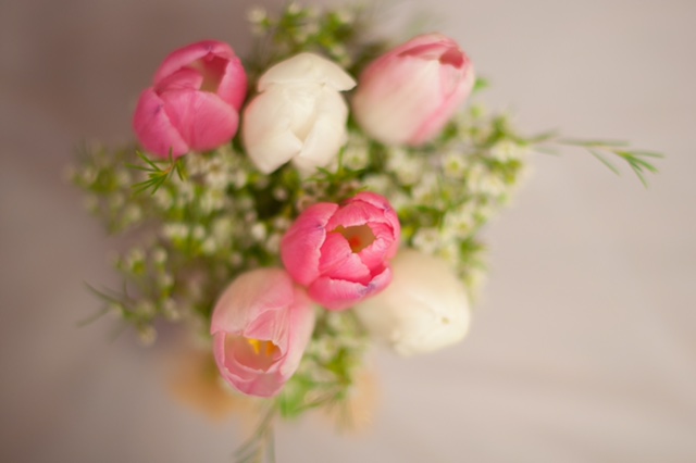 Evelisa Floral & Design: Tulips mason jars
