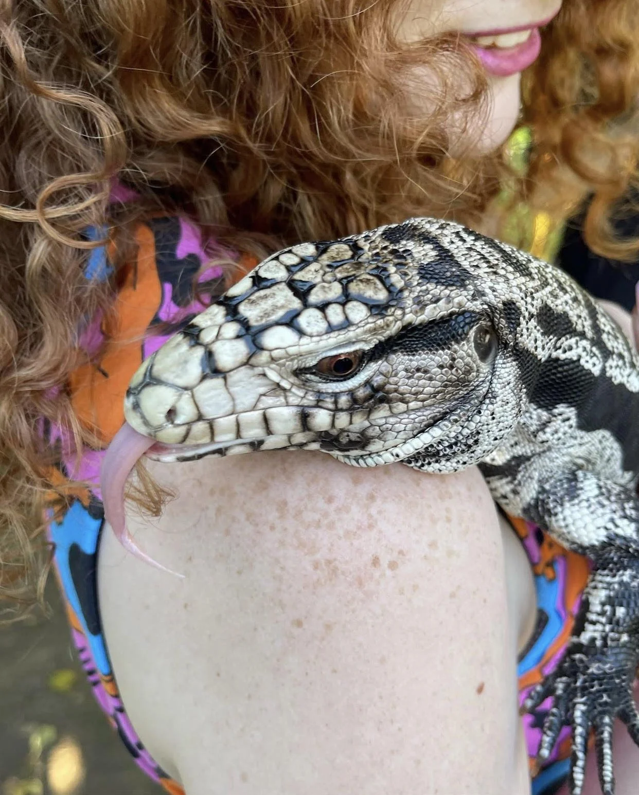 Adult Reptile Parties in Los Angeles....Yes Please!