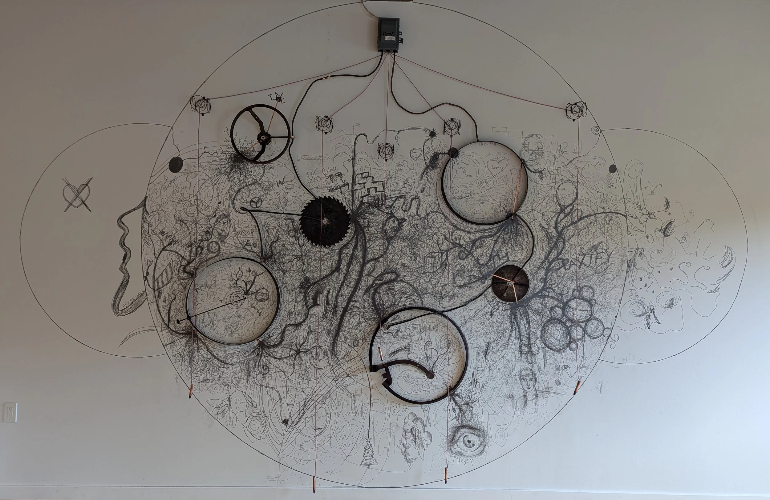 Sonic Graphite CAS_10.jpeg