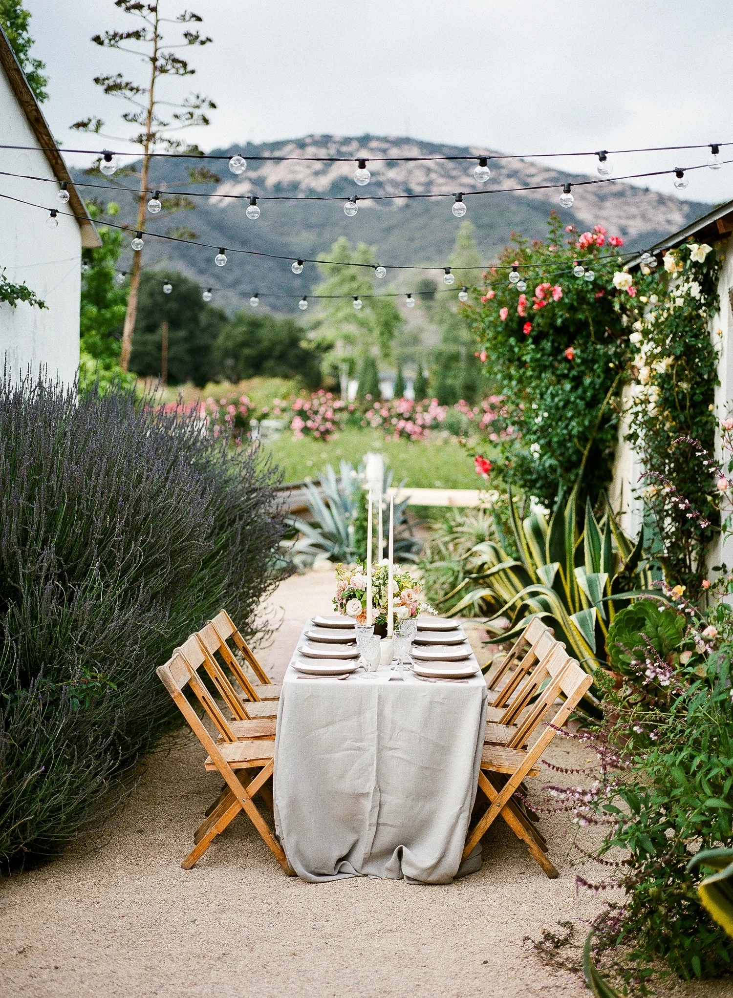film and flora 8.jpg