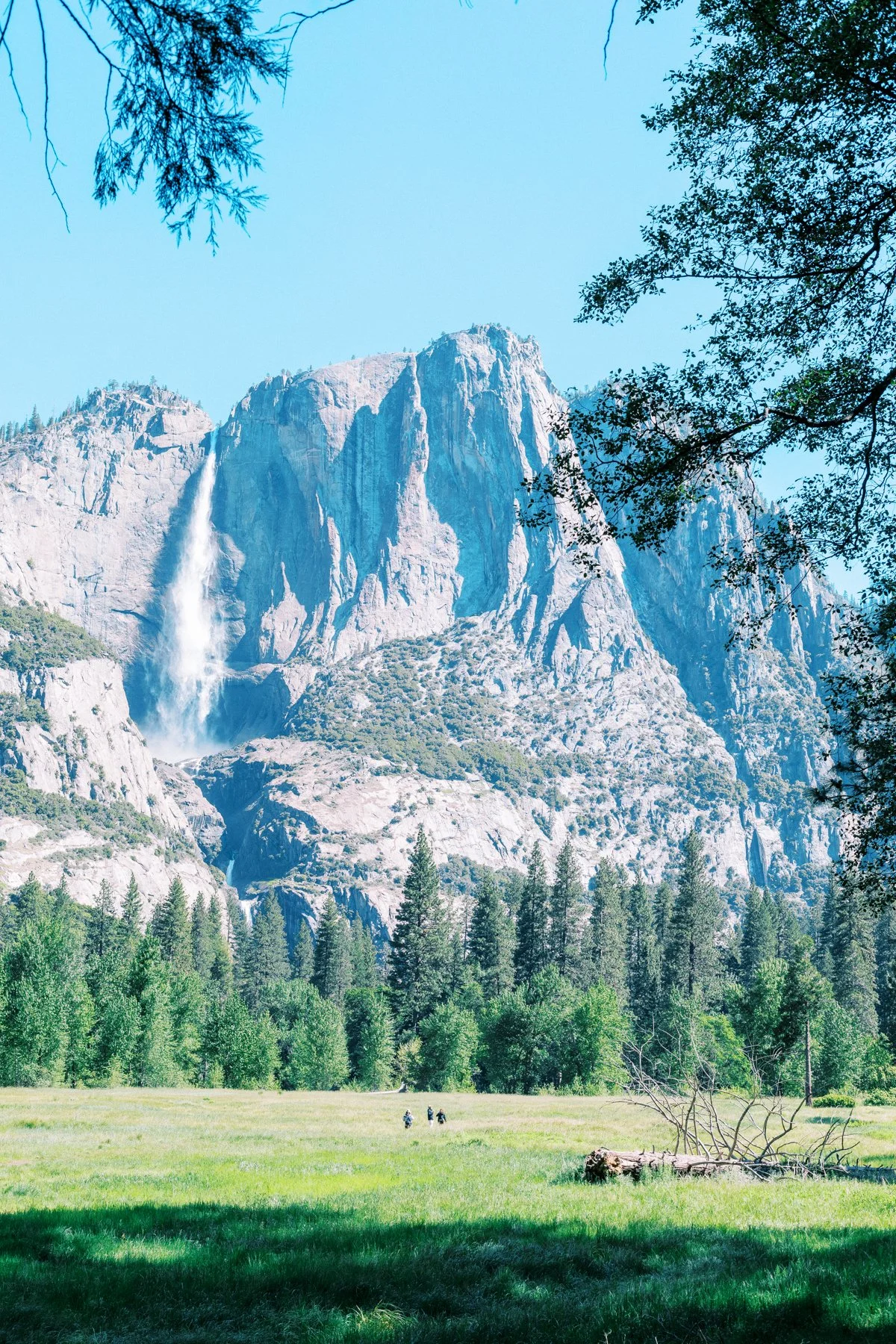 laura and steven yosemite-1.jpg