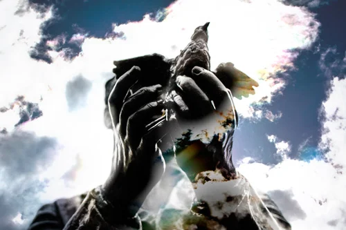 Freedom