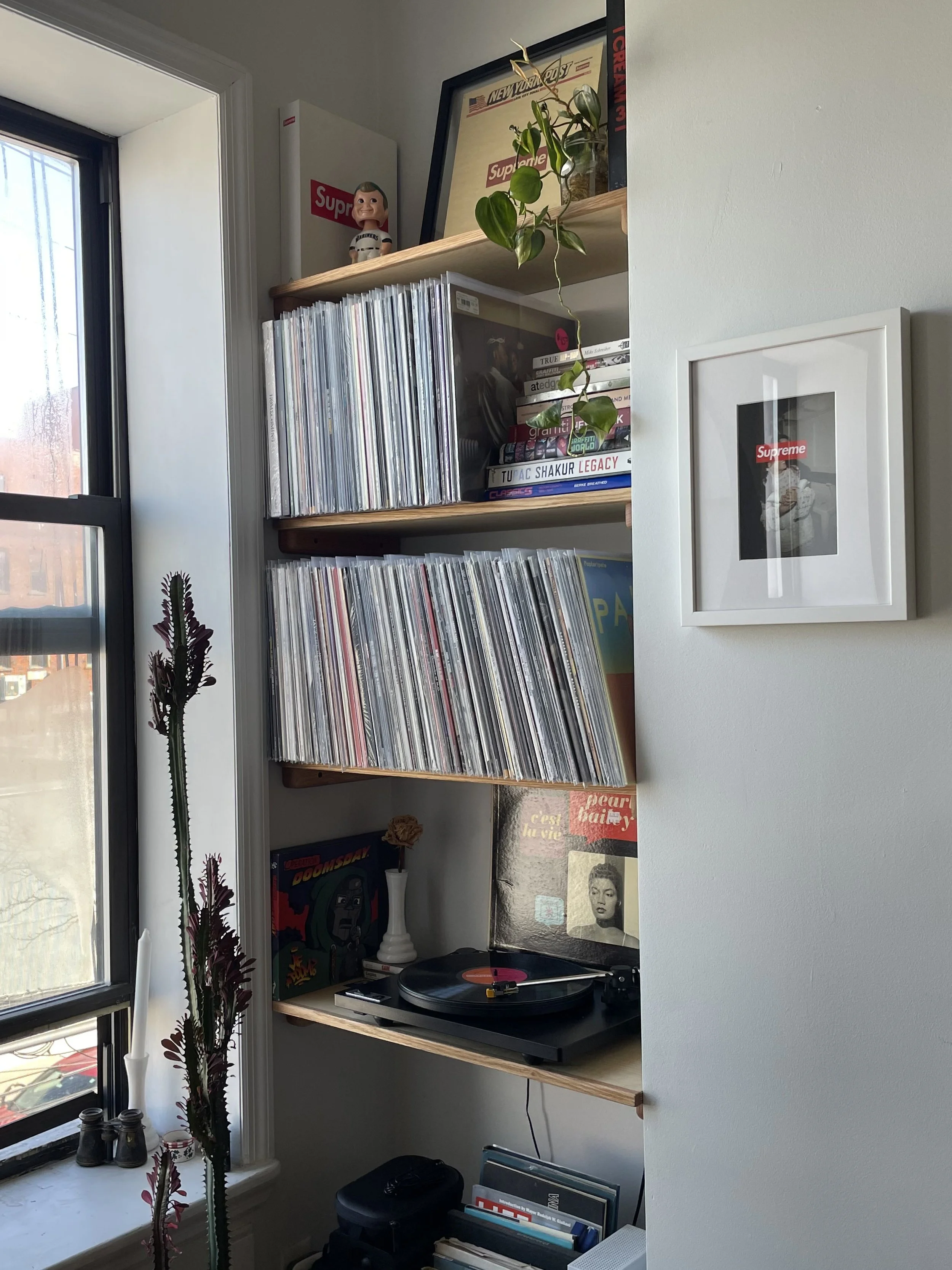 shelf1.jpg