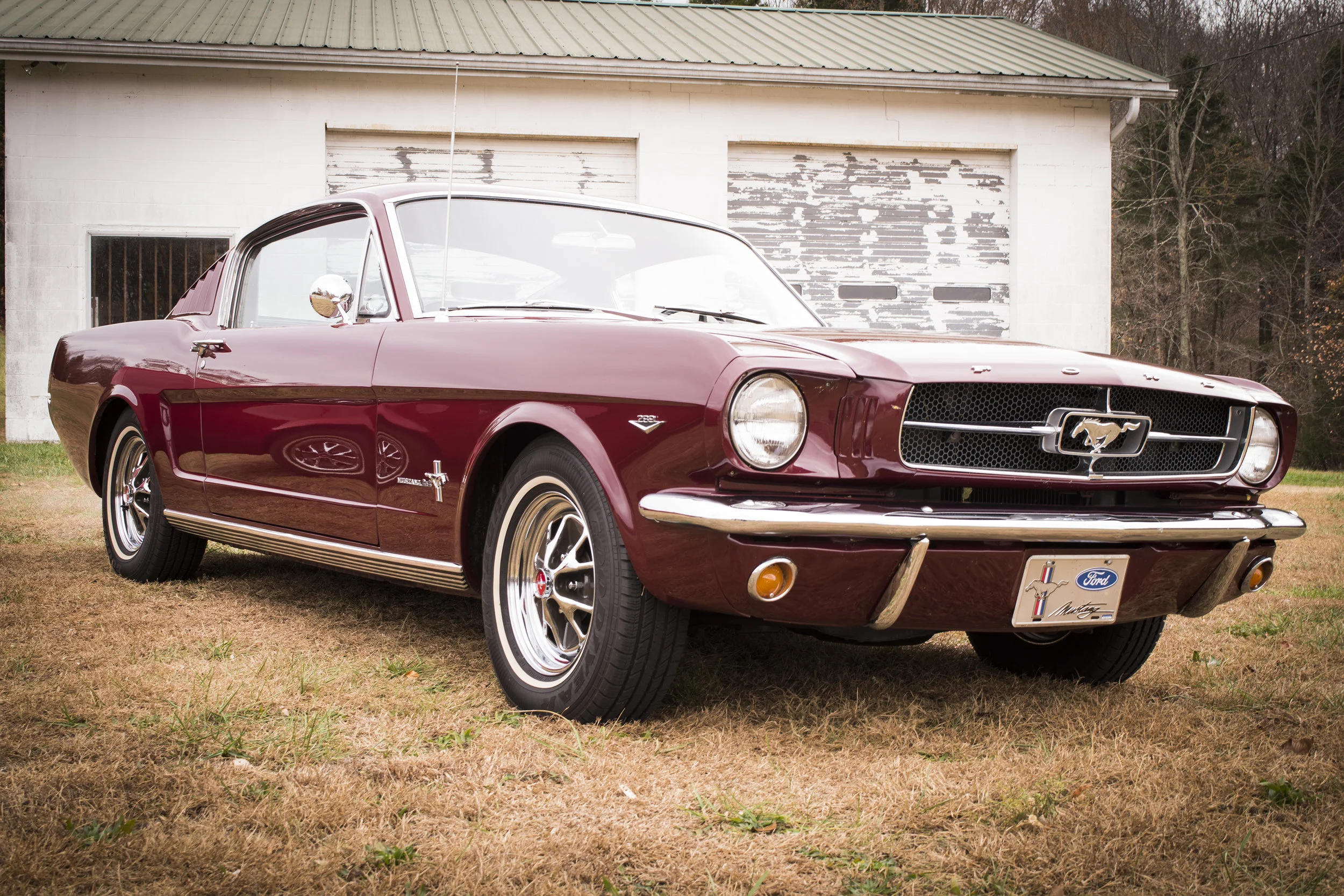 65_Fastback.jpg