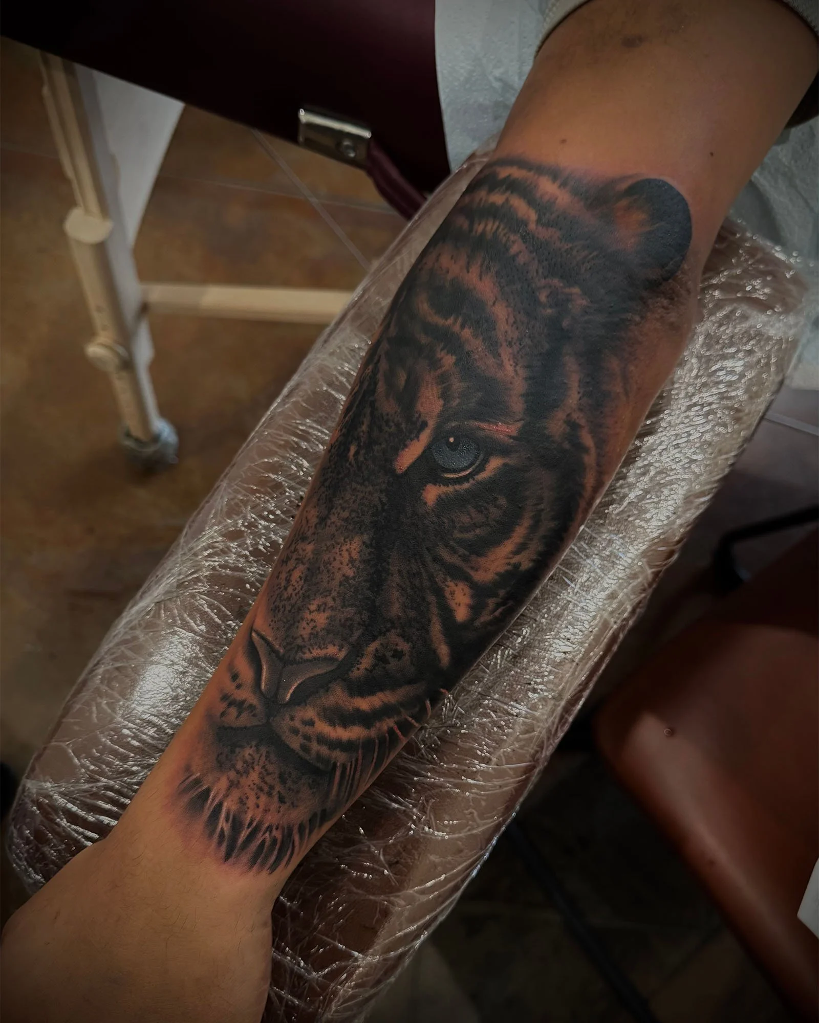 josey-yonge-illustrative-black-grey-realism-tiger-tattoo-daphne-alabama.jpg