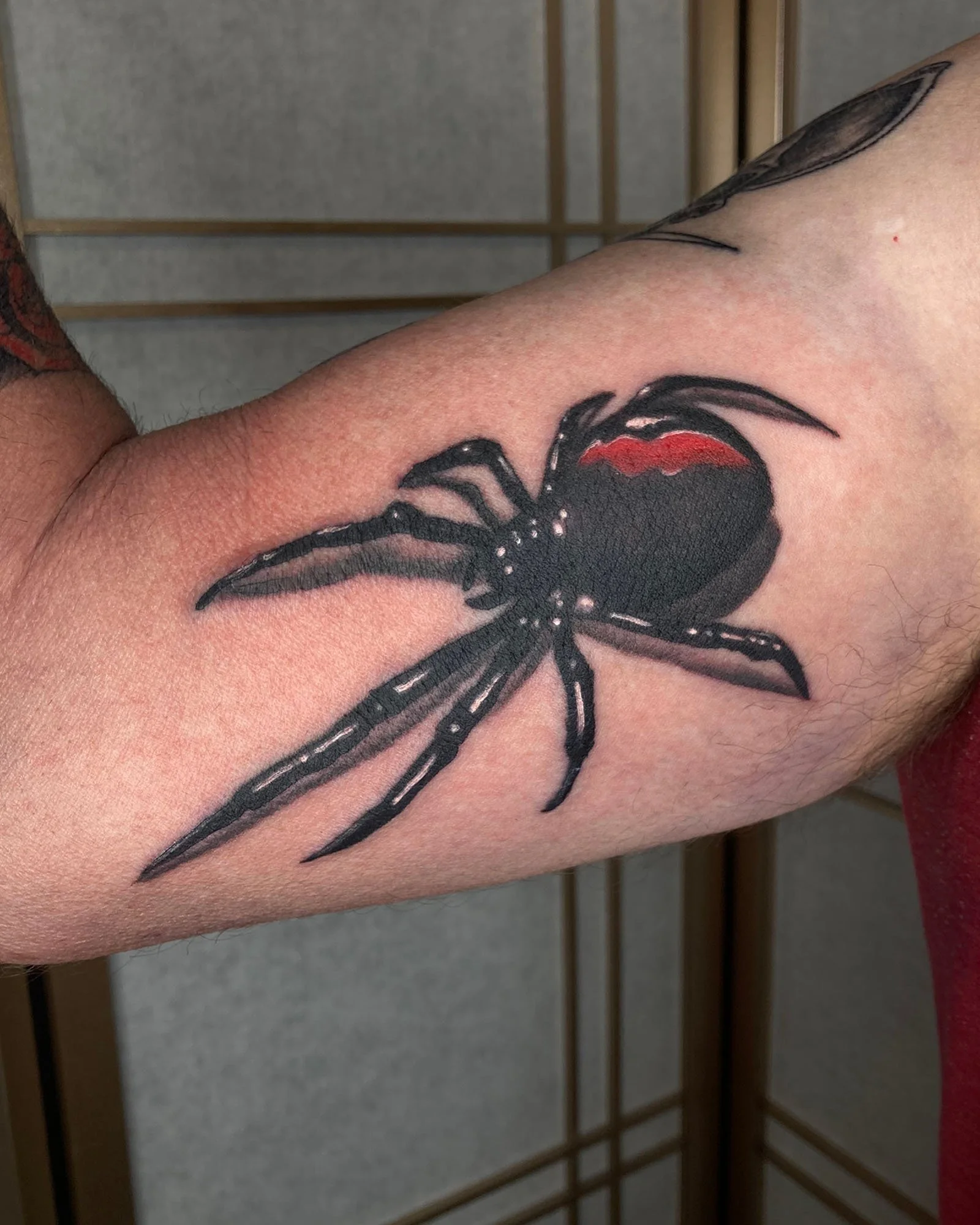 rob-green-neo-traditional-spider-tattoo-daphne-alabama.jpg