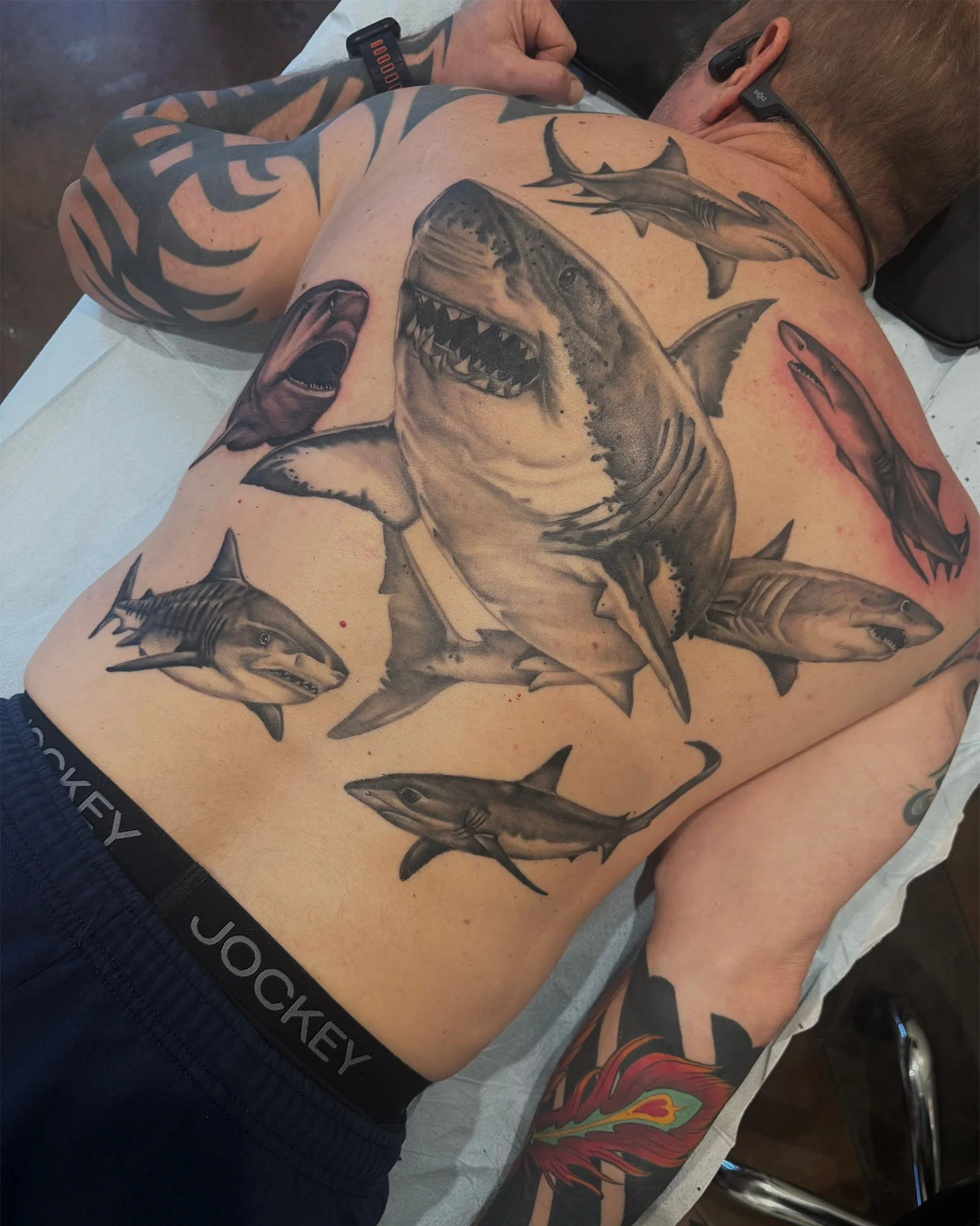 josey-yonge-black-grey-large-scale-shark-tattoo-daphne-alabama.jpg