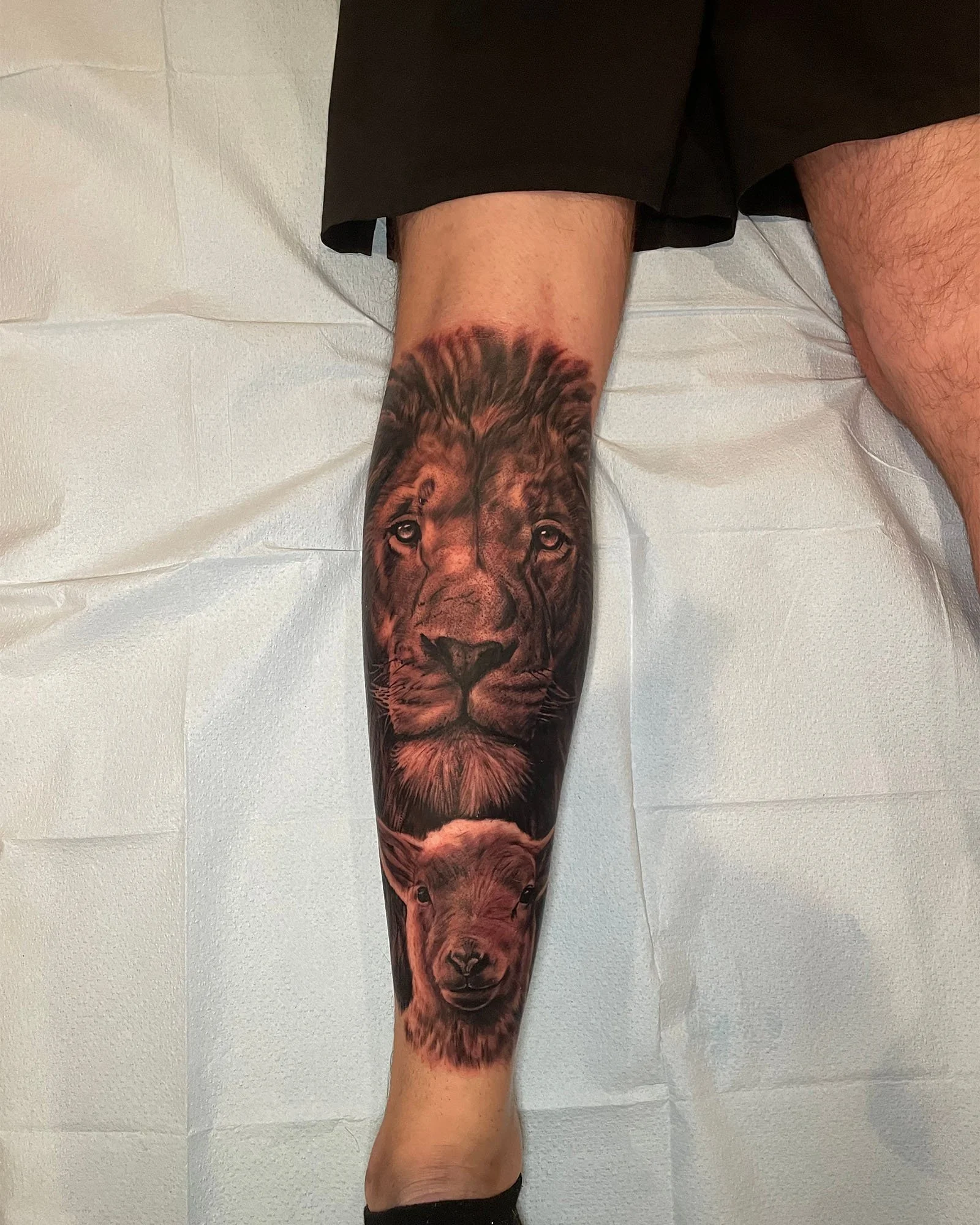 zach-long-black-grey-large-scale-lion-lamb-tattoo-daphne-alabama.jpg